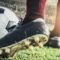 Champions League: le tre cose che forse non sai su Inter-Bayern Monaco