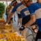 Domenica 31 maggio la decima Eroica Montalcino