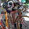 Domani mattina i primi ciclisti partiranno da Piazza Ricasoli sulle biciclette costruite prima del 1930